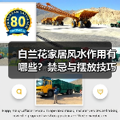 白兰花家居风水作用有哪些?禁忌与摆放技巧全解析(图2) 白兰花家居风水作用有哪些?禁忌与摆放技巧全解析(图2)