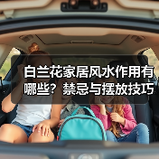 白兰花家居风水作用有哪些?禁忌与摆放技巧全解析(图4) 白兰花家居风水作用有哪些?禁忌与摆放技巧全解析(图4)