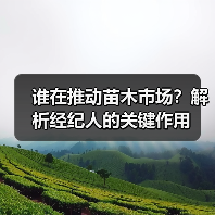 谁在推动苗木市场?解析经纪人的关键作用(图2) 谁在推动苗木市场?解析经纪人的关键作用(图2)