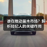 谁在推动苗木市场?解析经纪人的关键作用(图1) 谁在推动苗木市场?解析经纪人的关键作用(图1)