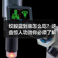 绞股蓝到底怎么吃？这些惊人功效你必须了解（图1）