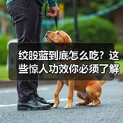 绞股蓝到底怎么吃？这些惊人功效你必须了解（图3）