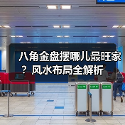 八角金盘摆哪儿最旺家?风水布局全解析(图4) 八角金盘摆哪儿最旺家?风水布局全解析(图4)