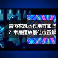 蔷薇花风水作用有哪些?家居摆放最佳位置解析(图4) 蔷薇花风水作用有哪些?家居摆放最佳位置解析(图4)