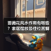 蔷薇花风水作用有哪些?家居摆放最佳位置解析(图3) 蔷薇花风水作用有哪些?家居摆放最佳位置解析(图3)