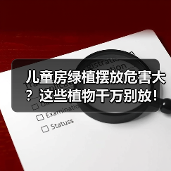 儿童房绿植摆放危害大?这些植物千万别放!(图2) 儿童房绿植摆放危害大?这些植物千万别放!(图2)