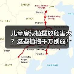 儿童房绿植摆放危害大?这些植物千万别放!(图3) 儿童房绿植摆放危害大?这些植物千万别放!(图3)