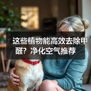 这些植物能高效去除甲醛?净化空气推荐(图4) 这些植物能高效去除甲醛?净化空气推荐(图4)