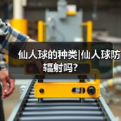 仙人球的种类|仙人球防辐射吗?(图2) 仙人球的种类|仙人球防辐射吗?(图2)