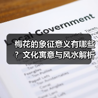 梅花的象征意义有哪些?文化寓意与风水解析(图2) 梅花的象征意义有哪些?文化寓意与风水解析(图2)