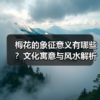 梅花的象征意义有哪些?文化寓意与风水解析(图3) 梅花的象征意义有哪些?文化寓意与风水解析(图3)