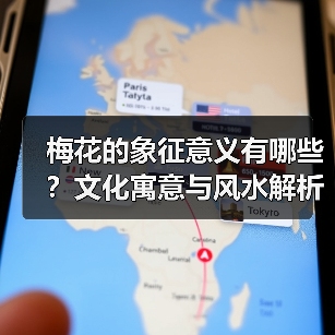 梅花的象征意义有哪些?文化寓意与风水解析(图4) 梅花的象征意义有哪些?文化寓意与风水解析(图4)
