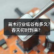 苗木行业低谷有多久?春天何时到来?(图1) 苗木行业低谷有多久?春天何时到来?(图1)