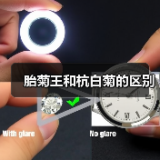 胎菊王和杭白菊的区别(图3) 胎菊王和杭白菊的区别(图3)
