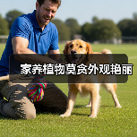 家养植物莫贪外观艳丽(图4) 家养植物莫贪外观艳丽(图4)