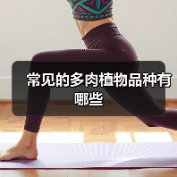 常见的多肉植物品种有哪些（图3）