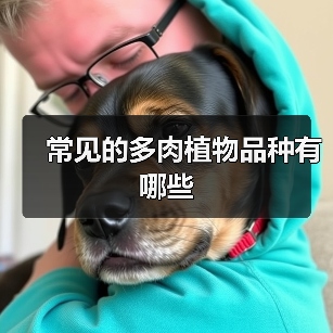 常见的多肉植物品种有哪些（图4）