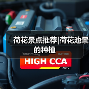 荷花景点推荐|荷花池景的种植(图4) 荷花景点推荐|荷花池景的种植(图4)