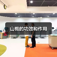 山栀的功效和作用(图3) 山栀的功效和作用(图3)