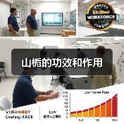 山栀的功效和作用(图4) 山栀的功效和作用(图4)