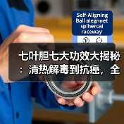 七叶胆七大功效大揭秘:清热解毒到抗癌,全解析(图1) 七叶胆七大功效大揭秘:清热解毒到抗癌,全解析(图1)