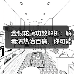 金银花藤功效解析:解毒清热治百病,你可能不知道的用法!(图2) 金银花藤功效解析:解毒清热治百病,你可能不知道的用法!(图2)