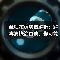 金银花藤功效解析:解毒清热治百病,你可能不知道的用法!(图4) 金银花藤功效解析:解毒清热治百病,你可能不知道的用法!(图4)