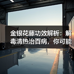 金银花藤功效解析:解毒清热治百病,你可能不知道的用法!(图3) 金银花藤功效解析:解毒清热治百病,你可能不知道的用法!(图3)