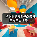 柏树叶的多种功效及实用作用大揭秘(图1) 柏树叶的多种功效及实用作用大揭秘(图1)