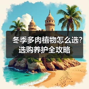 冬季多肉植物怎么选？选购养护全攻略（图2）