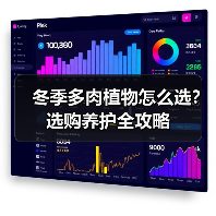 冬季多肉植物怎么选？选购养护全攻略（图4）