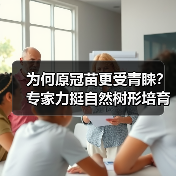 为何原冠苗更受青睐?专家力挺自然树形培育(图4) 为何原冠苗更受青睐?专家力挺自然树形培育(图4)