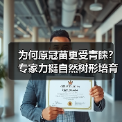 为何原冠苗更受青睐?专家力挺自然树形培育(图3) 为何原冠苗更受青睐?专家力挺自然树形培育(图3)