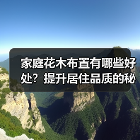 家庭花木布置有哪些好处？提升居住品质的秘密（图1）