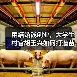 用结婚钱创业,大学生村官胡玉兴如何打造苗木产业?(图4) 用结婚钱创业,大学生村官胡玉兴如何打造苗木产业?(图4)