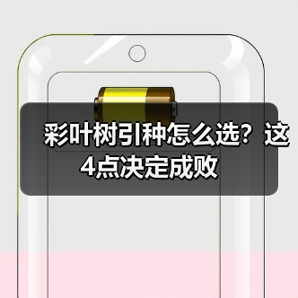 彩叶树引种怎么选?这4点决定成败(图2) 彩叶树引种怎么选?这4点决定成败(图2)
