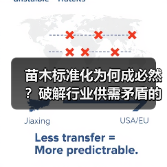 苗木标准化为何成必然?破解行业供需矛盾的关键路径(图1) 苗木标准化为何成必然?破解行业供需矛盾的关键路径(图1)