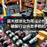 苗木标准化为何成必然?破解行业供需矛盾的关键路径(图4) 苗木标准化为何成必然?破解行业供需矛盾的关键路径(图4)