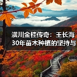 潢川金桂传奇:王长海30年苗木种植的坚持与腾飞之路(图2) 潢川金桂传奇:王长海30年苗木种植的坚持与腾飞之路(图2)