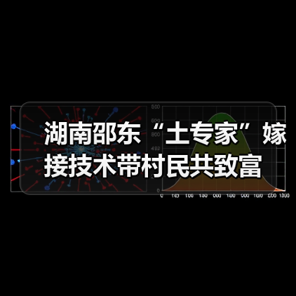 湖南邵东“土专家”嫁接技术带村民共致富（图4）