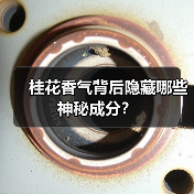 桂花香气背后隐藏哪些神秘成分?(图1) 桂花香气背后隐藏哪些神秘成分?(图1)