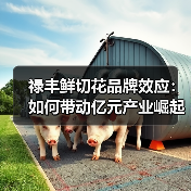 禄丰鲜切花品牌效应:如何带动亿元产业崛起?(图2) 禄丰鲜切花品牌效应:如何带动亿元产业崛起?(图2)