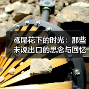 鸢尾花下的时光:那些未说出口的思念与回忆(图4) 鸢尾花下的时光:那些未说出口的思念与回忆(图4)
