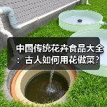 中国传统花卉食品大全:古人如何用花做菜?(图1) 中国传统花卉食品大全:古人如何用花做菜?(图1)