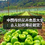 中国传统花卉食品大全:古人如何用花做菜?(图3) 中国传统花卉食品大全:古人如何用花做菜?(图3)