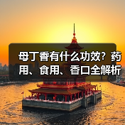 母丁香有什么功效?药用、食用、香口全解析(图1) 母丁香有什么功效?药用、食用、香口全解析(图1)