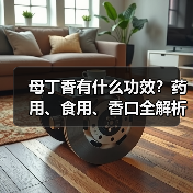 母丁香有什么功效?药用、食用、香口全解析(图4) 母丁香有什么功效?药用、食用、香口全解析(图4)