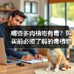 哪些多肉植物有毒？购买前必须了解的毒植物（图2）