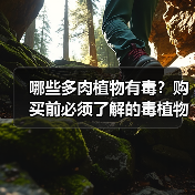 哪些多肉植物有毒？购买前必须了解的毒植物（图3）