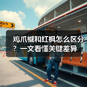 鸡爪槭和红枫怎么区分？一文看懂关键差异